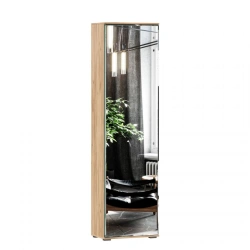 Fiji LD.659320.000 M Single Door Wardrobe with Mirror (Golden Oak/Anthracite)