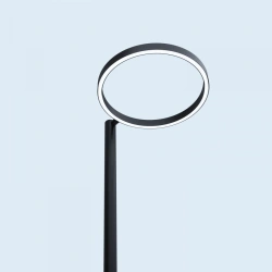 LED Ring Street Light LV-RING D1000