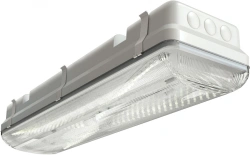 LED Light TL-ECO Series IP 65 RUS
