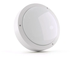 LED Wall Lights Series EG-DBP for Industrial Use