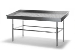 Stainless Steel Fish Display Table RNL