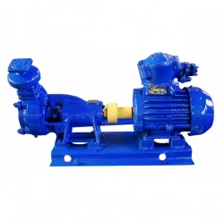 Vortex Pump VKO 5/32 and Electric Pump Units Based on It