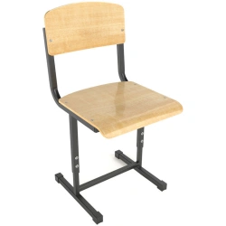 Adjustable Student Chair for Growth Group 5 to 7 by "Edelwood