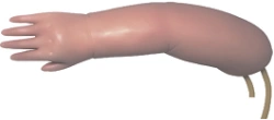 Newborn Venipuncture Model Arm PS150S / S15