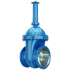 Wedge Gate Valves with Extended Spindle PT11084