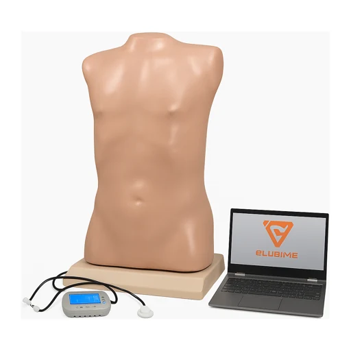 CPR, Resuscitation, Intubation & Airway Manikins