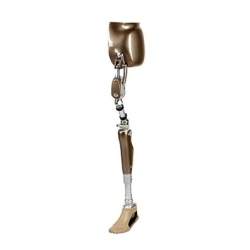 Modular Hip Disarticulation Prosthesis PN8-13