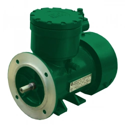 Explosion-proof motor