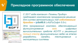 Software Development Services (per person/day)