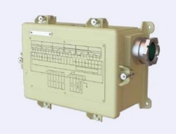 Safety Block for Chip Presence Indicators (BINS)