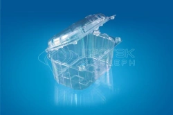 Berry, Fruit, Mushroom, and Vegetable Packaging Container PR-RKF-250