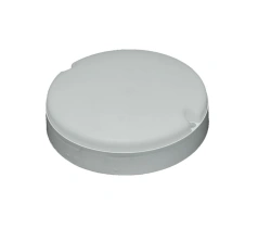 LED Light Fixture for Entrances and Garages, Model BL-Q-12