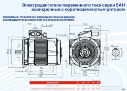 AC Induction Motors Series 5AN 315 – Over 75kW to 375kW