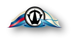 Special Research and Inspection Services for Information Systems