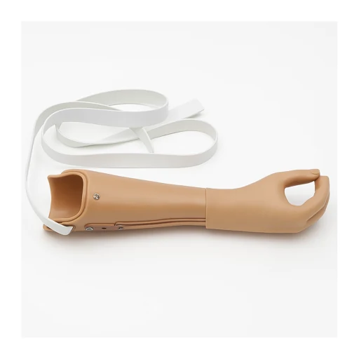 Upper Limb Prosthetics