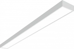 Universal LED Light BL-GRACIA-10