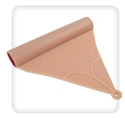 Model of the Intestine with Mesentery M1065