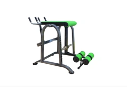 Reverse Hyperextension Machine DT - 060