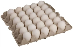 Fresh Grade 1 Chicken Eggs (In Shell)