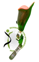 Running Prosthesis for Hip PN6-M-B