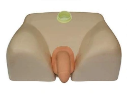 Anatomically Correct Male Catheterization Model NS6032