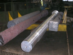 Bearings & Power Transmission