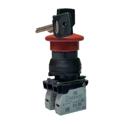 Key-Locked Push Button Switch with Mushroom Head 22mm Plastic (KME 5FK)