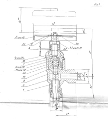 Bronze Non-Return Angle Valve DN 25, PN 10.0 MPa ITSHL.491911.003-06