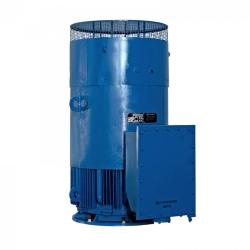 AOM2-355 Three-Phase Vertical Induction Motor