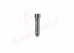 Reconstruction Screw for Bone Fragments