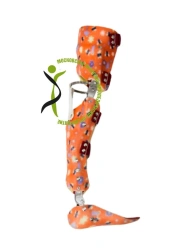 Full Leg Orthosis Device AH8-115DP (AH8-115)