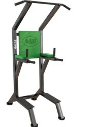 High-Strength Multi-Function Pull-Up and Dip Station