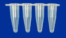 Non-Sterile Polymer Test Tube for In Vitro Diagnostics - PM3-7-21-PP