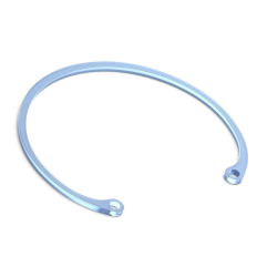 Hard Polymer Ring for Lens Capsule Stabilization "SK-1