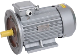 AIR 100L2 5.5kW 3-Phase Induction Motor 3000 RPM