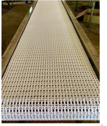 Water Drainage Conveyor for Carcasses