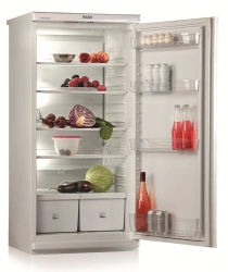 POZIS Domestic Refrigerator Sviyaga-513-5 250L