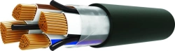 Power Cable for Voltage 0.66; 1kV BBГнг(А)