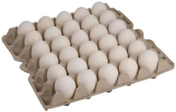 Fresh Grade 1 Chicken Eggs