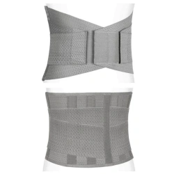 Back support belt
