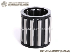 Needle Roller Bearing without Rings 64706E