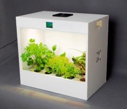 Hydroponic Mini Greenhouse Ecobox - Year-Round Plant Growth