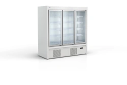 Freezer Display Case with Dynamic Cooling for Frozen Products NORDICA 200 NT