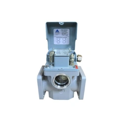Gas Relay RGT-80-201 for Transformer Protection