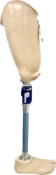 Swimming Leg Prosthesis for Bathing, PN6-77K