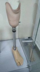 Modular Lower Limb Prosthesis for Bathing