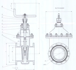 Cast Iron Wedge Gate Valve DN 100 PN 1.6 MPa IYUKL.491625.003