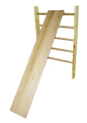 Smooth Inclined Board 2m with Hooks for Gym Wall Art. NF-210882