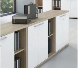 Office and Educational Two-Door Cabinet by Home Evolution