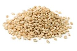 Barley Groats (Pearled) - Well-Polished Grain